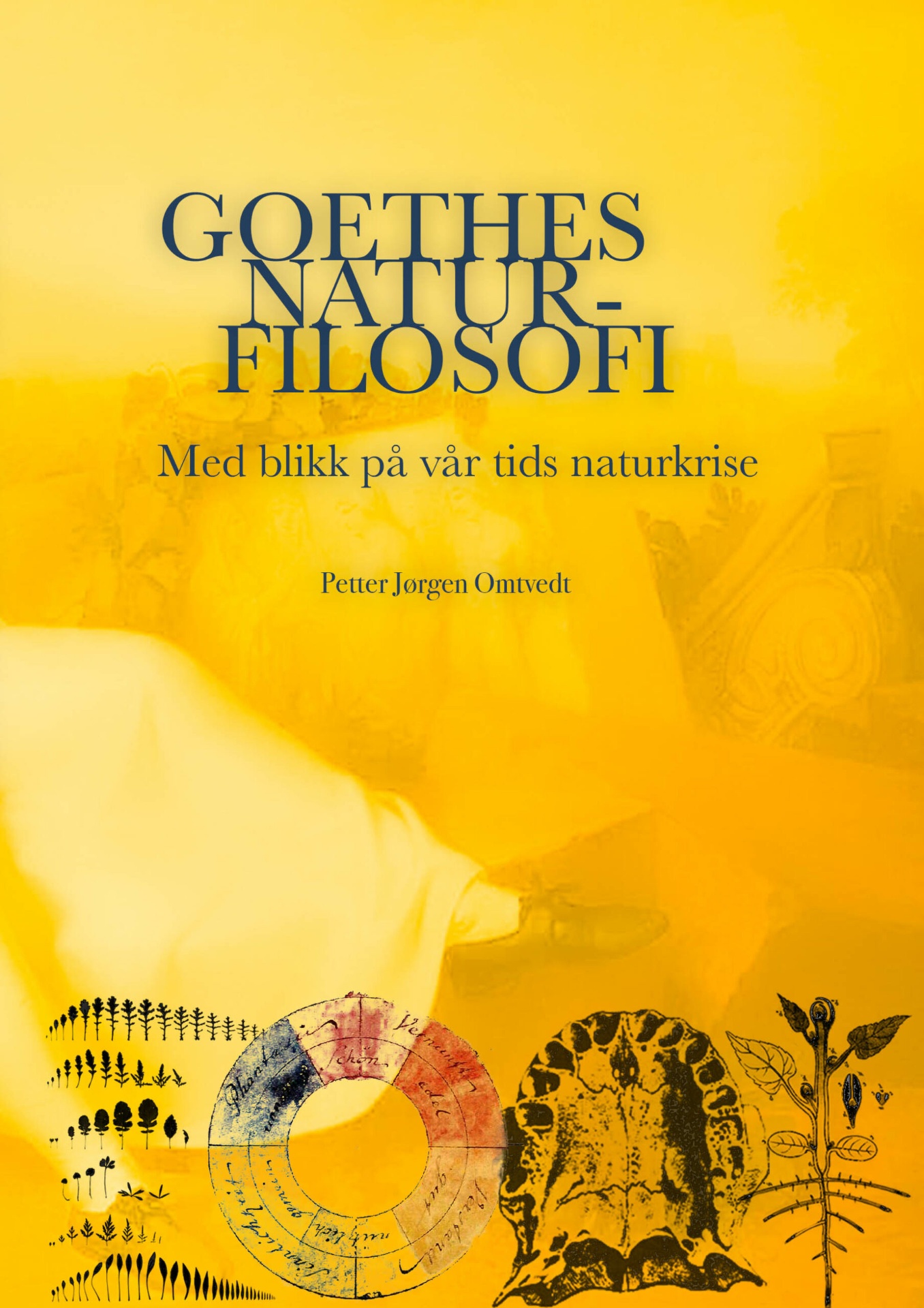Goethes naturfilosofi - bokcover